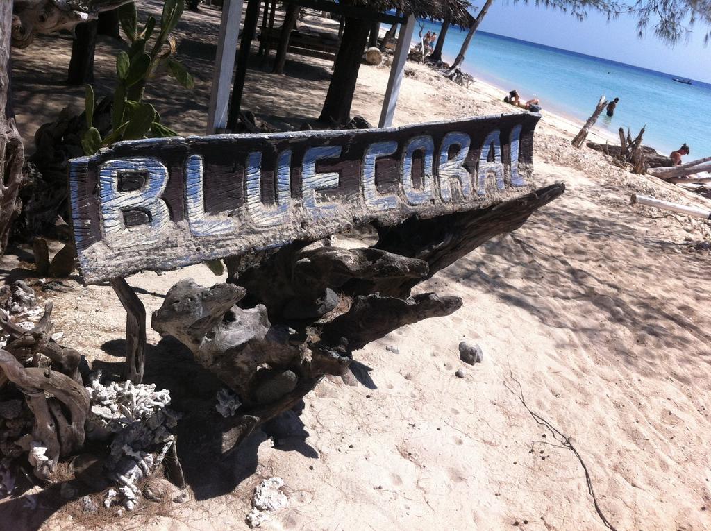 Bluecoral Bungalows Gili Meno Exteriör bild